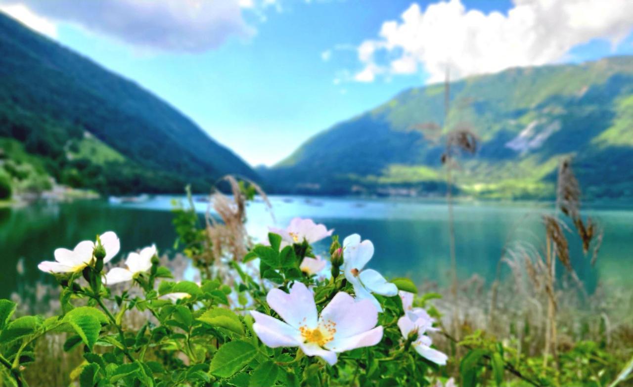 Emozioni Al Lago Farra d'Alpago Ngoại thất bức ảnh